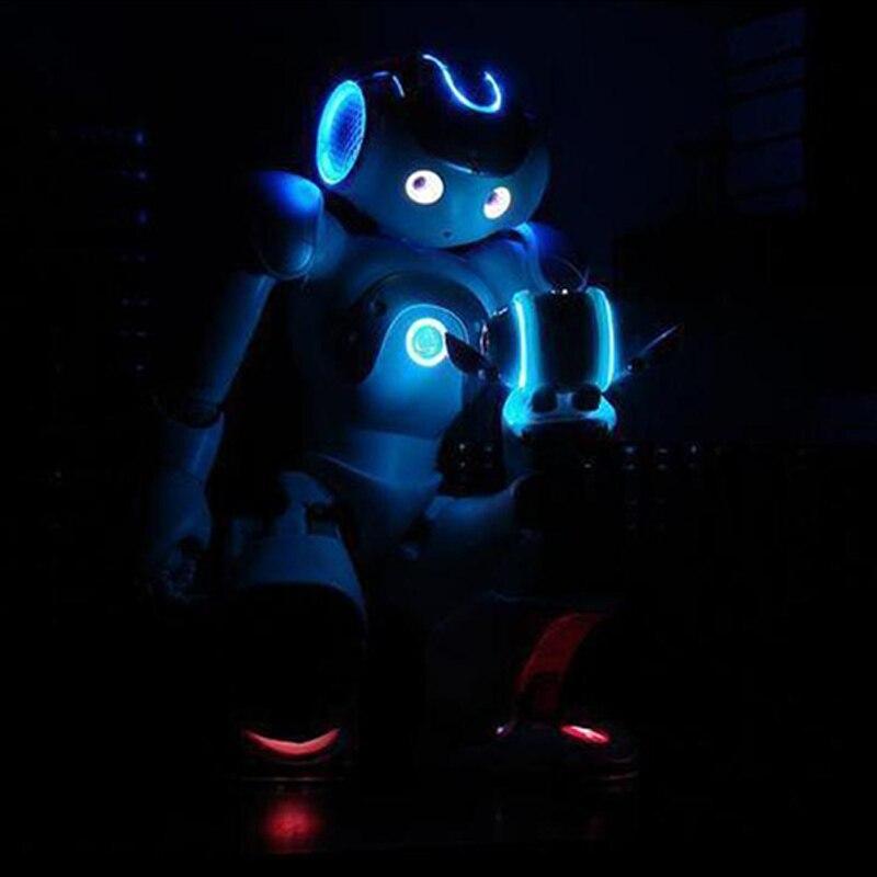 Robô de Controle Remoto Inteligente e Educativo - RoboTop